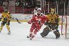12.10.2024 - (Ässät-SaiPa) kuva: 46