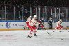 24.1.2025 - (Lukko-Ässät) kuva: 87