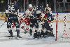 24.1.2025 - (Lukko-Ässät) kuva: 134