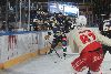 24.1.2025 - (Lukko-Ässät) kuva: 250