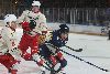 24.1.2025 - (Lukko-Ässät) kuva: 264