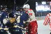 24.1.2025 - (Lukko-Ässät) kuva: 347