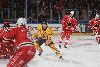 25.1.2025 - (Ässät-Lukko) kuva: 84