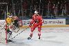 25.1.2025 - (Ässät-Lukko) kuva: 144