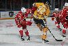 25.1.2025 - (Ässät-Lukko) kuva: 158