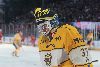 25.1.2025 - (Ässät-Lukko) kuva: 7