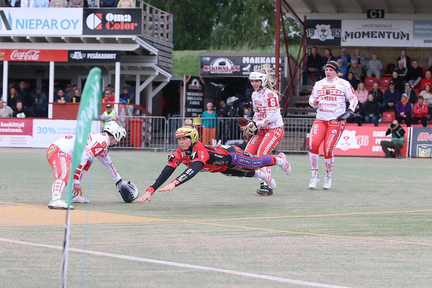 6.6.2025 - (Pesäkarhut N-Jussittaret N)