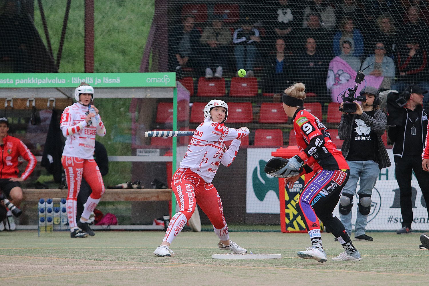 6.6.2025 - (Pesäkarhut N-Jussittaret N)