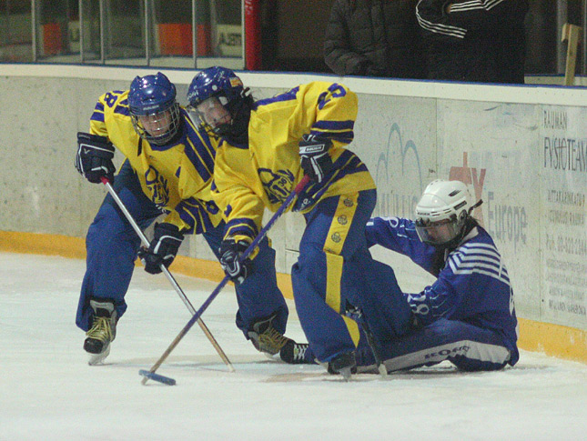 30.1.2010 - (Lukko N-Lahti Ringette N)