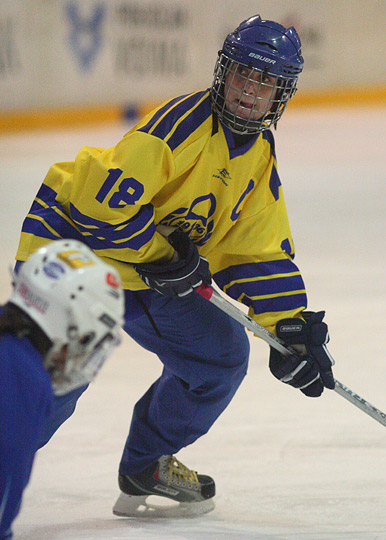 30.1.2010 - (Lukko N-Lahti Ringette N)