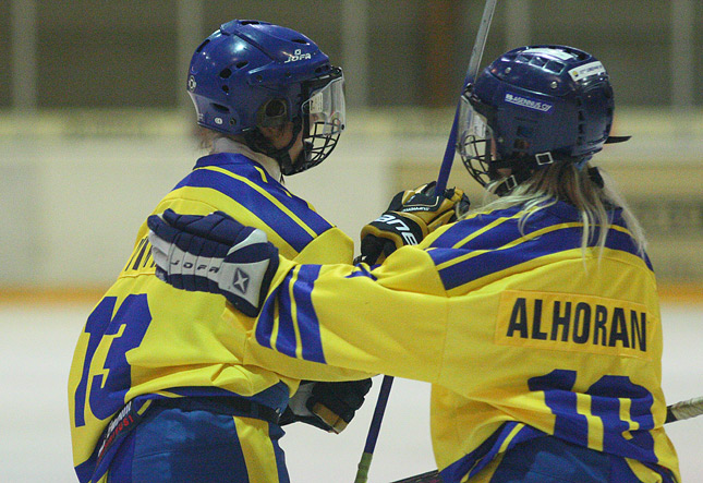 30.1.2010 - (Lukko N-Lahti Ringette N)