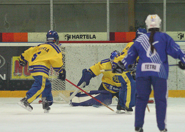 30.1.2010 - (Lukko N-Lahti Ringette N)