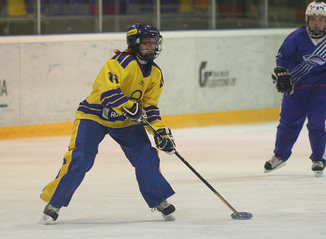 30.1.2010 - (Lukko N-Lahti Ringette N)