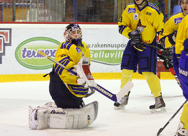 22.1.2011 - (Ässät A-Lukko A)