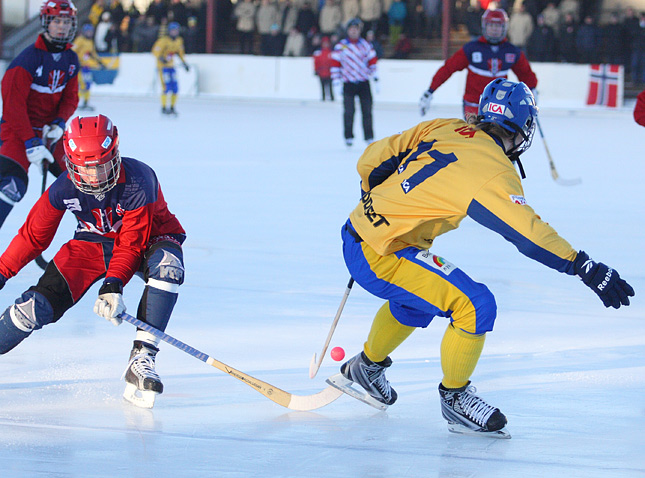 22.1.2011 - (Norja U19-Ruotsi U19)