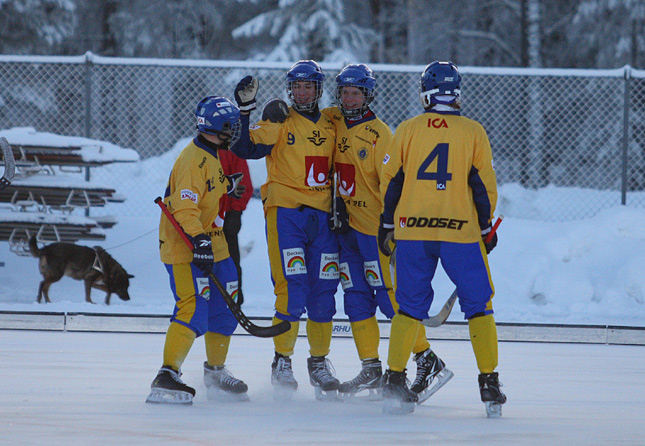 23.1.2011 - (Suomi U19-Ruotsi U19)