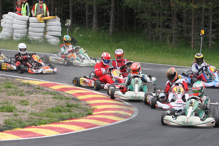 16.6.2012 - (CIK-FIA Viking Trophy)