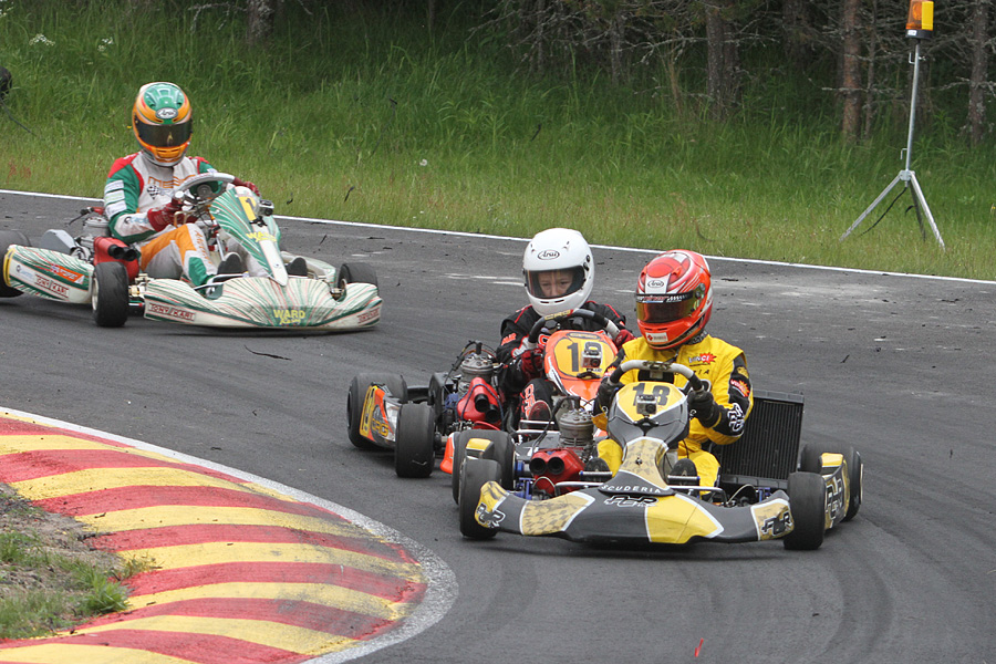 16.6.2012 - (CIK-FIA Viking Trophy)