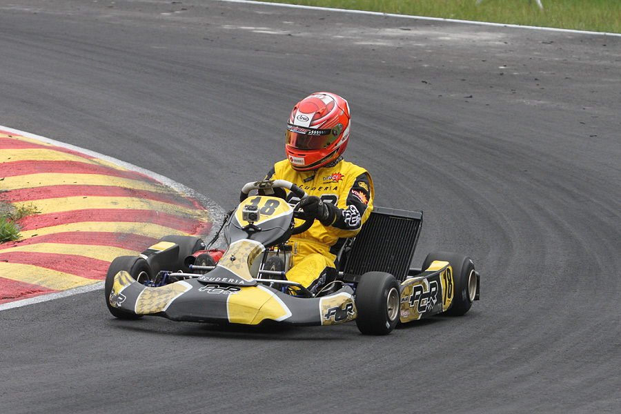 16.6.2012 - (CIK-FIA Viking Trophy)