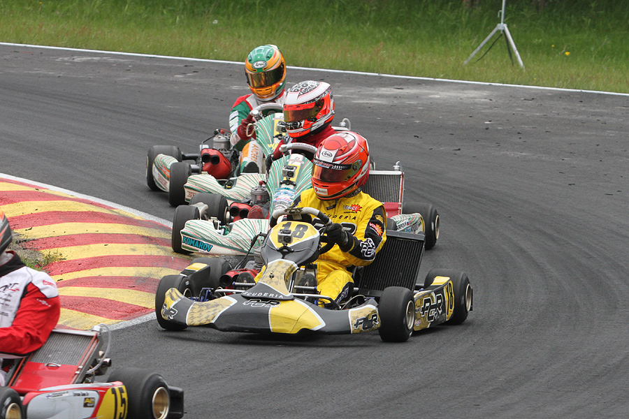 16.6.2012 - (CIK-FIA Viking Trophy)