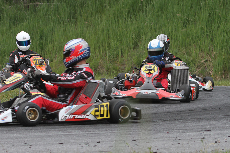 16.6.2012 - (CIK-FIA Viking Trophy)