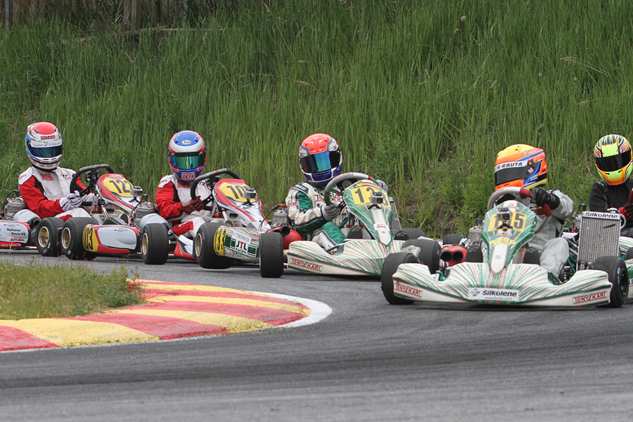 16.6.2012 - (CIK-FIA Viking Trophy)