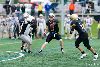 Jaguaarit  -  Butchers kuva: 16