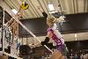 8.2.2015 - (Puijo Volley-Nice Team) kuva: 24