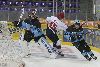 7.8.2015 - (Pelicans-HIFK) kuva: 5