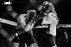 19.11.2016 FNF 13 kuva: 3