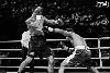 13.8.2016 Boxing Night Savonlinna: Olavi Hagert vs Reynaldo Mora kuva: 31