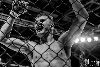 6.2.2016 Fight Night 15, Kotka kuva: 39