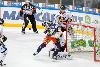 11.04.2016 - Tappara-Kärpät kuva: 8