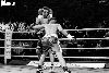 13.8.2016 Boxing Night Savonlinna: Olavi Hagert vs Reynaldo Mora kuva: 13