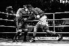 13.8.2016 Boxing Night Savonlinna: Tuomo Eronen vs Reynaldo Cajina kuva: 9