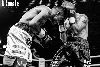 13.8.2016 Boxing Night Savonlinna: Tuomo Eronen vs Reynaldo Cajina kuva: 21