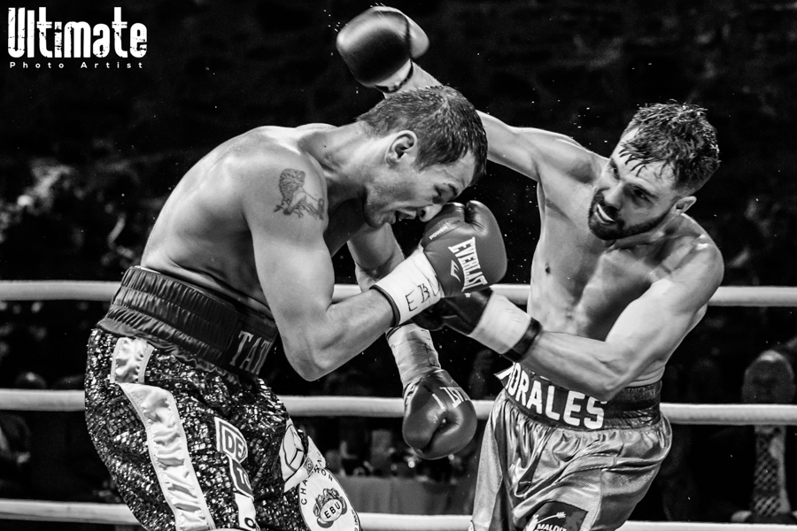 13.8.2016 Boxing Night Savonlinna: Edis Tatli vs. Cristian Morales