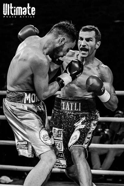 13.8.2016 Boxing Night Savonlinna: Edis Tatli vs. Cristian Morales