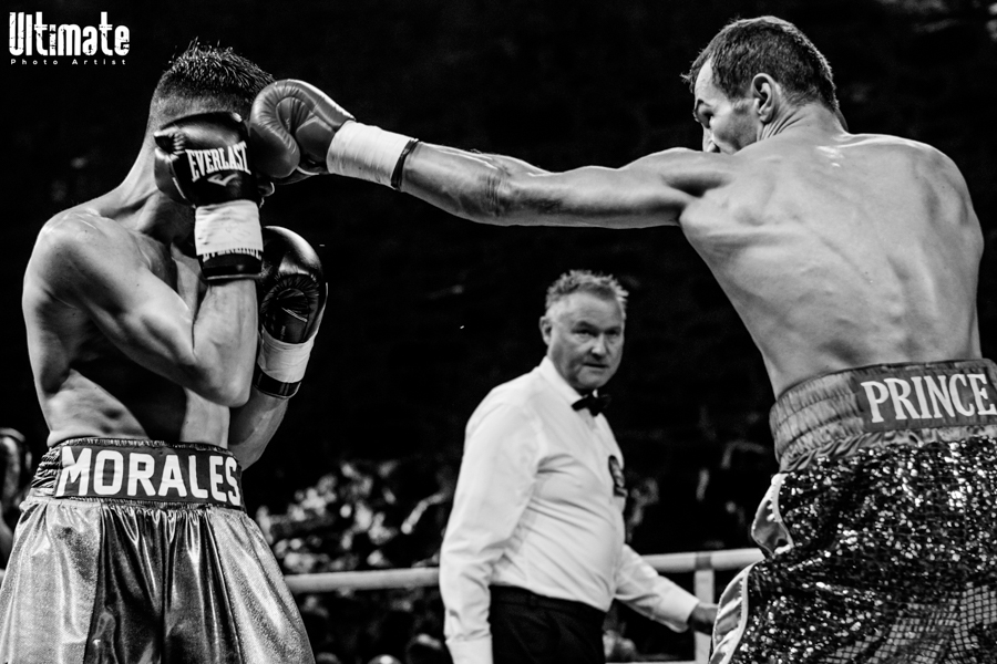 13.8.2016 Boxing Night Savonlinna: Edis Tatli vs. Cristian Morales