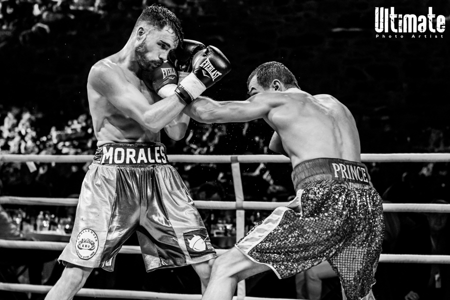 13.8.2016 Boxing Night Savonlinna: Edis Tatli vs. Cristian Morales