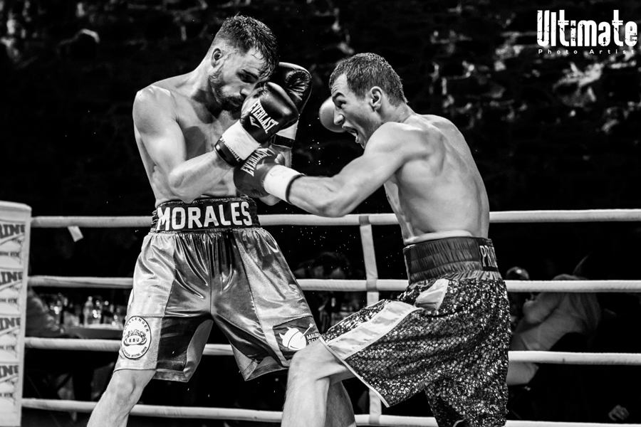 13.8.2016 Boxing Night Savonlinna: Edis Tatli vs. Cristian Morales