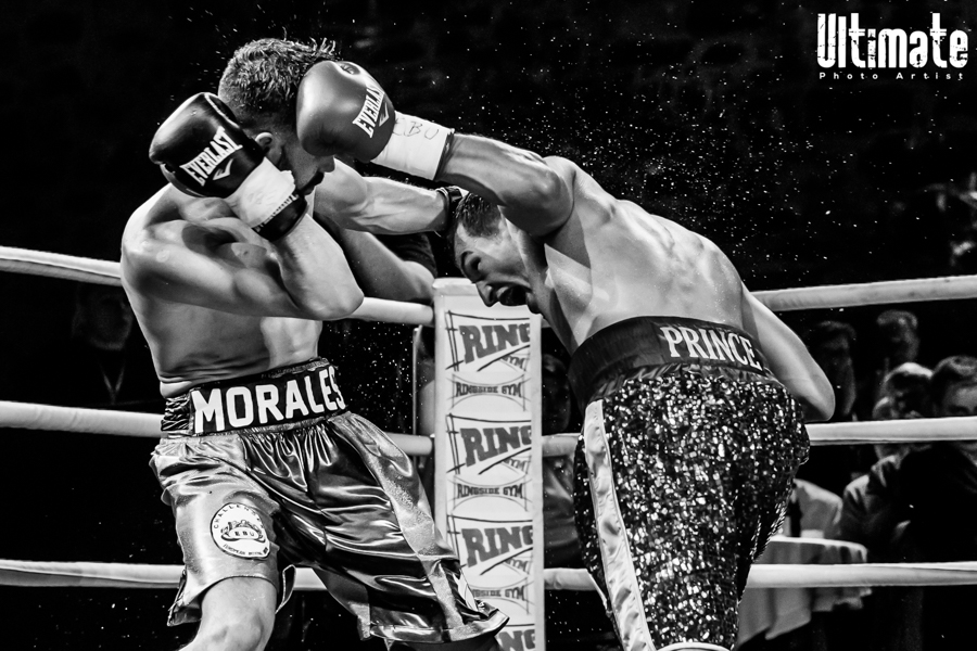 13.8.2016 Boxing Night Savonlinna: Edis Tatli vs. Cristian Morales