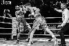13.8.2016 Boxing Night Savonlinna: Edis Tatli vs. Cristian Morales kuva: 53