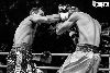 13.8.2016 Boxing Night Savonlinna: Edis Tatli vs. Cristian Morales kuva: 30