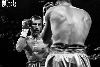 13.8.2016 Boxing Night Savonlinna: Edis Tatli vs. Cristian Morales kuva: 36