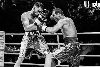 13.8.2016 Boxing Night Savonlinna: Edis Tatli vs. Cristian Morales kuva: 13