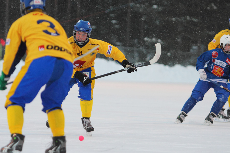 27.1.2012 - (Ruotsi U19-Suomi U19)