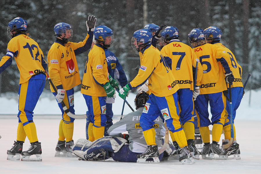 27.1.2012 - (Ruotsi U19-Suomi U19)