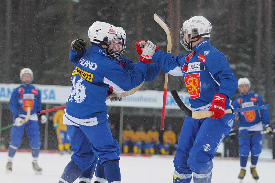 27.1.2012 - (Ruotsi U19-Suomi U19)