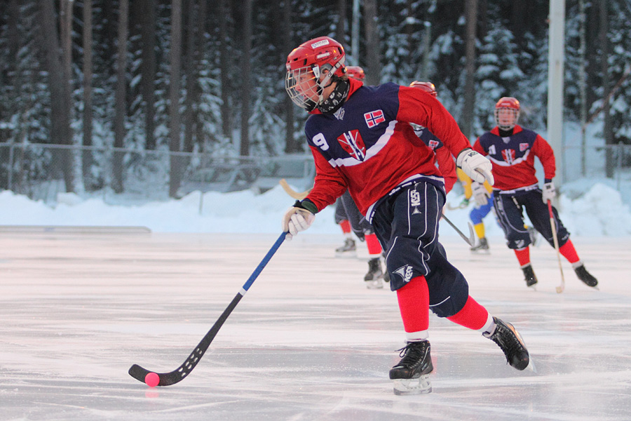 28.1.2012 - (Norja U19-Ruotsi U19)